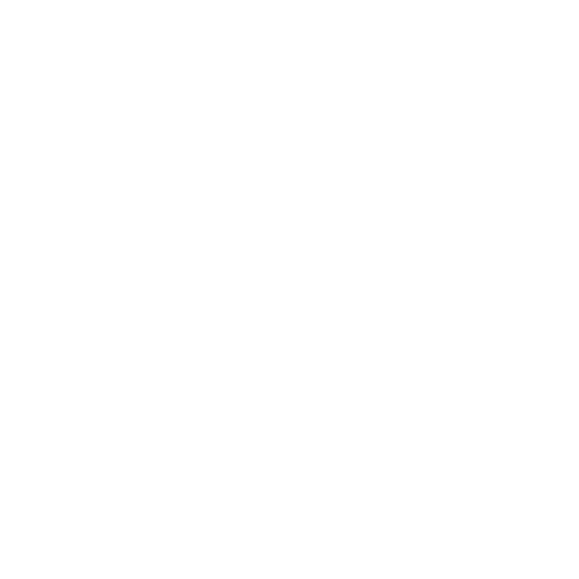 Sinjun Conductor